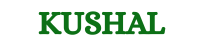 kushal pokharel digital marketing expert logo green